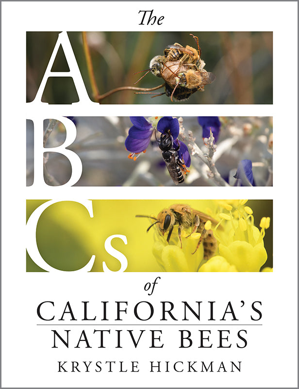 ABCS Of California Native Bee - Krystle Hickman