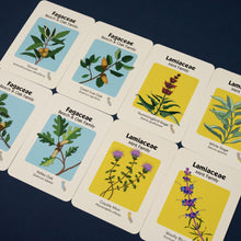 Load image into Gallery viewer, Go Native Card Game
