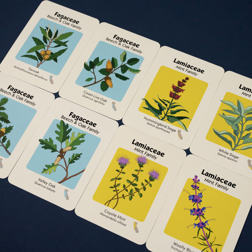 Go Native Card Game