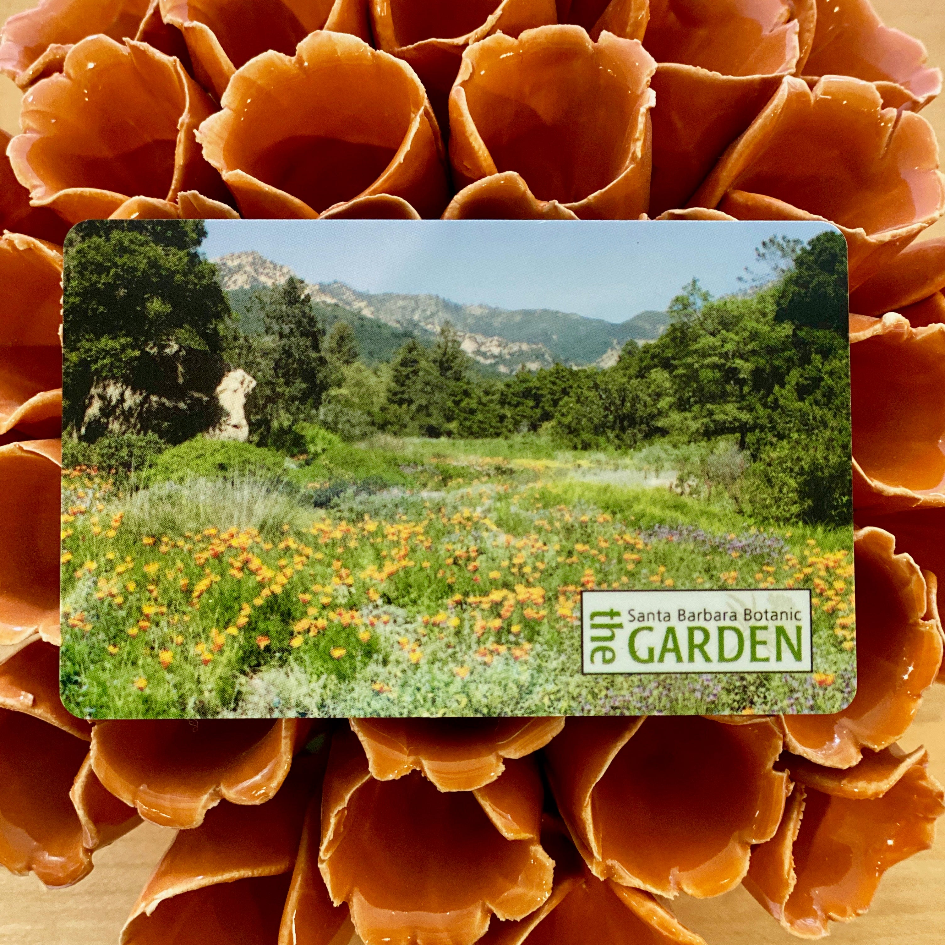 California Garden Flower Bundle – Santa Barbara Company